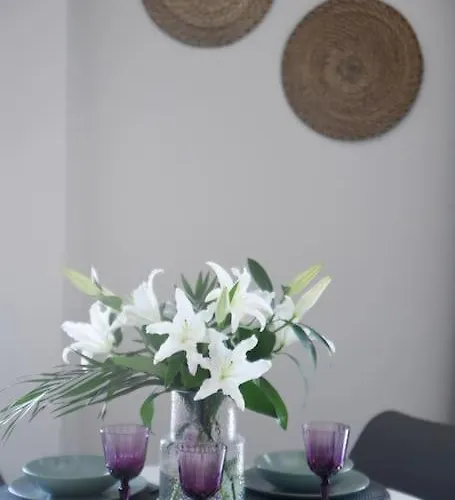 Apartamento Olivea's House *