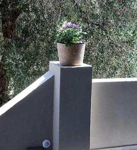 Olivea's House Apartment